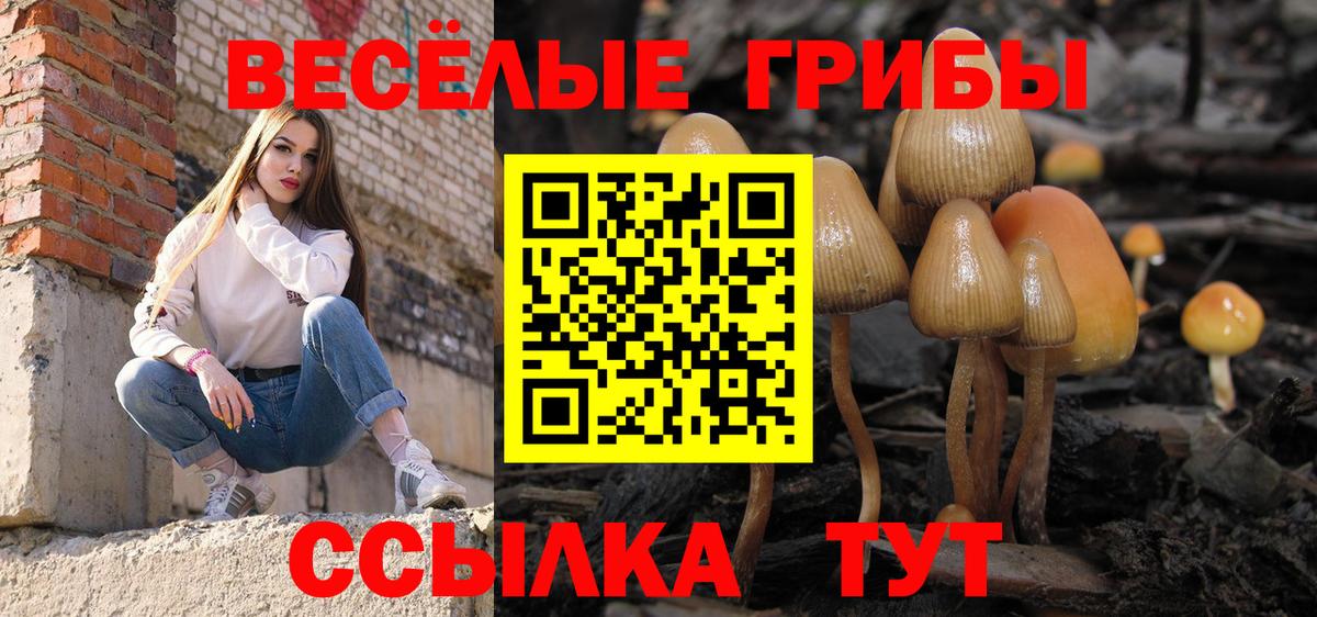 Кандалакша  как найти закладки  Вход с VPN  Галлюциногенные грибы прущие грибы 