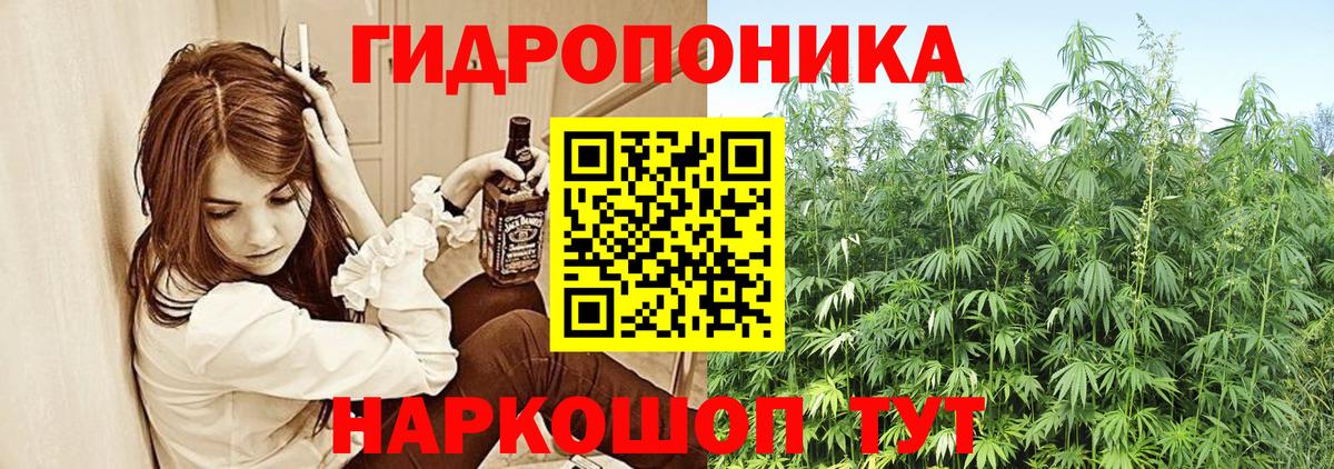 Кандалакша  Конопля ГИДРОПОН  Конопля планчик  Вход с VPN  Канабис индика 